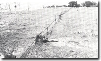 Image: West Gippsland Sites of Significance 