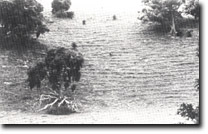 Image: West Gippsland Sites of Significance 
