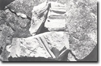 Image: West Gippsland Sites of Significance 