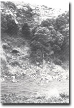 Image: West Gippsland Sites of Significance 