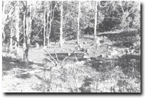 Image: West Gippsland Sites of Significance 