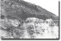 Image: West Gippsland Sites of Significance 