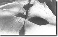 Image: West Gippsland Sites of Significance 