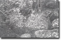 Image: West Gippsland Sites of Significance 