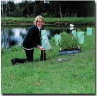 Photo: Woman planting a tree