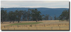 Photo: View from near Yarram towards terrace of the Devon landscape unit