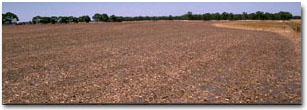 photo: grey clay plains