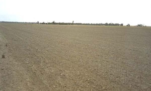 Image: IS13 Landscape