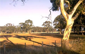 Image: IS16 Landscape