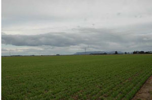 Image: IS18 Llandscape