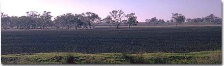 Image: IS21 Landscape