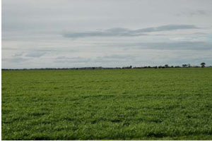 Image: IS23  Landscape