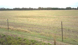 Image: IS32 Landscape