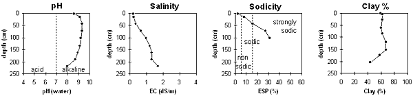 Image: IS8 Graphs