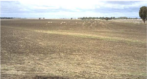 Image: IS8 Llandscape