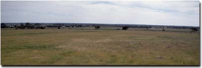 Image: LS10 Landscape