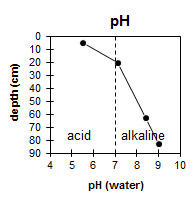 Image: LSWW66 graphs