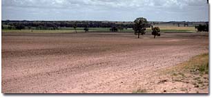 View from top of Gently Undulating Rises unit near Balrootan North