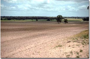 balrootan landscape