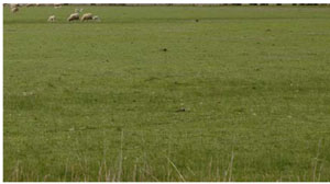 Image: IS10 Landscape