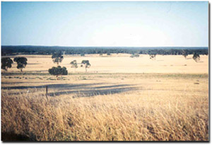 Photo: WW20 Landscape - Little Desert