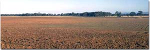 Redsoils Landscape