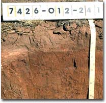 Site WP3
