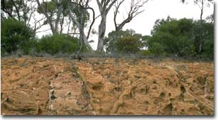 Sandstone Cutting