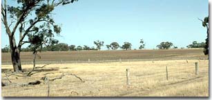 Gently Undulating Rises unit at Winiam