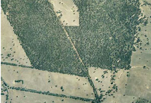 WLRA - soil pit ALRA64 - landscape