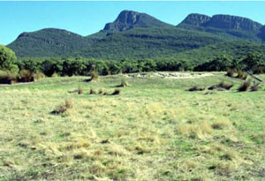 WLRA - soil pit ALRA65 - landscape