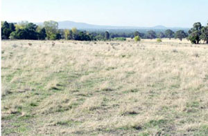 WLRA - soil pit ALRA66 - landscape
