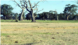 WLRA - soil pit ALRA68 - landscape