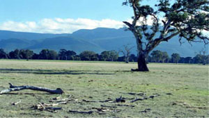 WLRA - soil pit ALRA69 - landscape