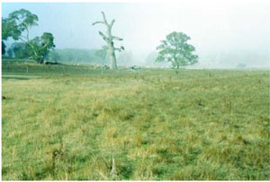 WLRA - soil pit ALRA80 - landscape