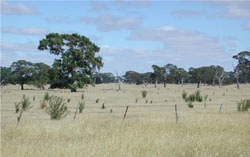 WLRA Landform Units Apsley