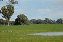 WLRA Landform Units Apsley
