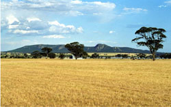 WLRA Landform Units Arapiles Steep Hills