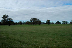 WLRA Landform Units Balmoral undulating plains