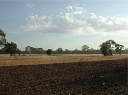 WLRA Landform Units Bellellen undulating rises