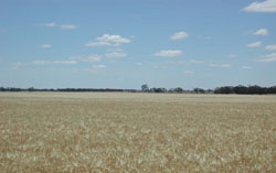 WLRA Landform Units Beulah Plains