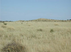 WLRA Landform Big Desert jumbled dunes
