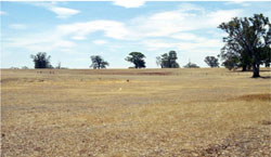 WLRA Landform Brimpaen undulating plain