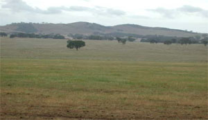 WLRA Landform Concongella Hills
