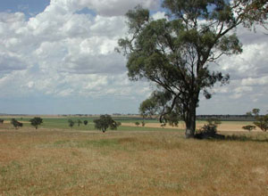 WLRA Landform Diapur ridge