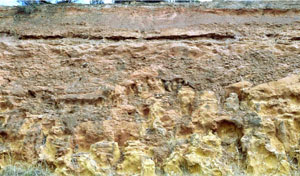 WLRA Landform Diapur ridge