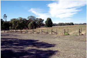 WLRA - soil pit DOAGW15- landscape