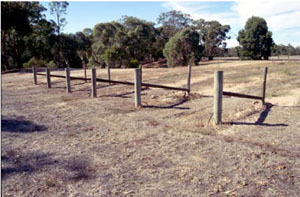 WLRA - soil pit DOAGW17- landscape