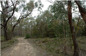 WLRA - soil pit DOAHG6- landscape