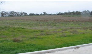 WLRA Landform Donald Lake lunette cluster